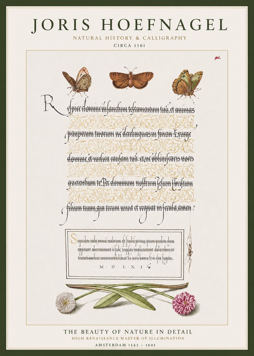 Joris Hoefnagel Butterflies, Flowers and Calligraphy Page No1 - Juliste