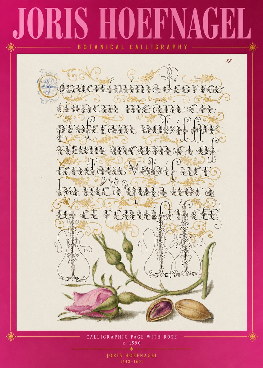 Joris Hoefnagel Calligraphic Page with Rose No2 - Juliste