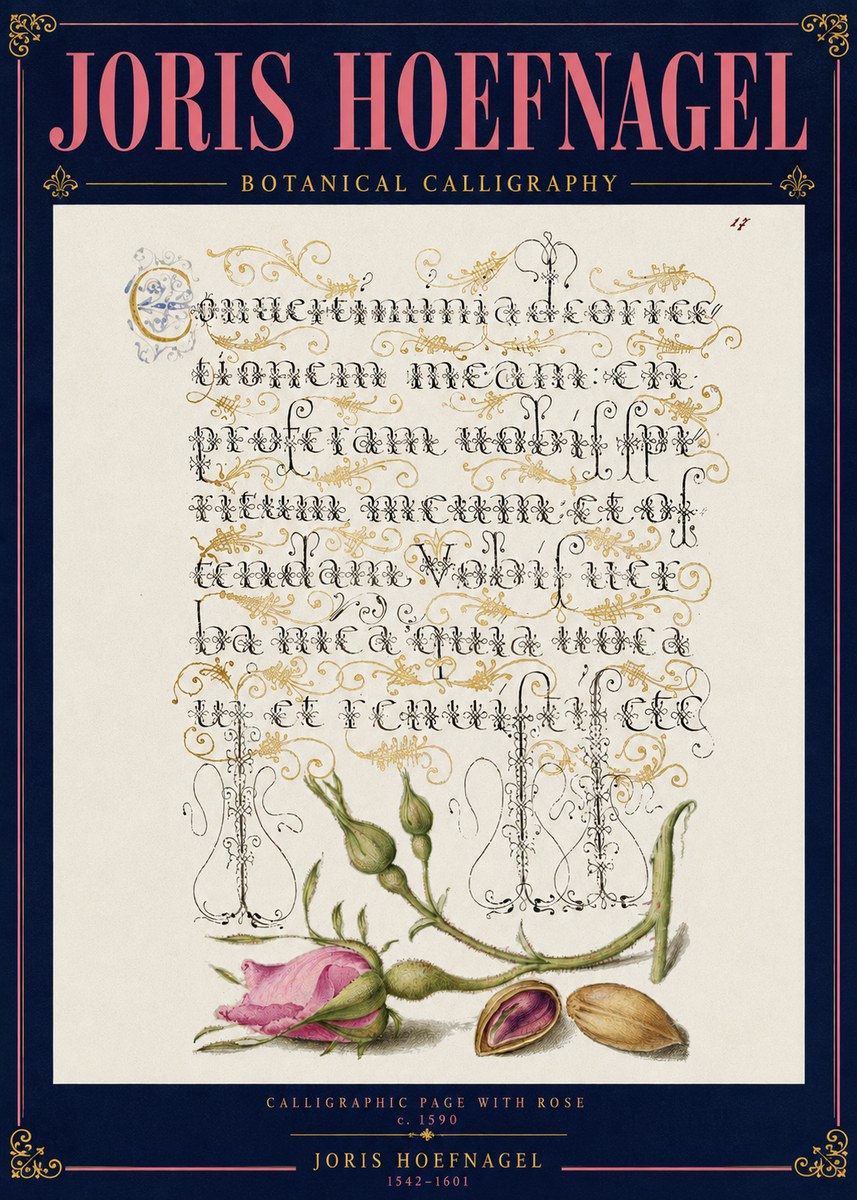 Joris Hoefnagel Calligraphic Page with Rose No4 - Juliste