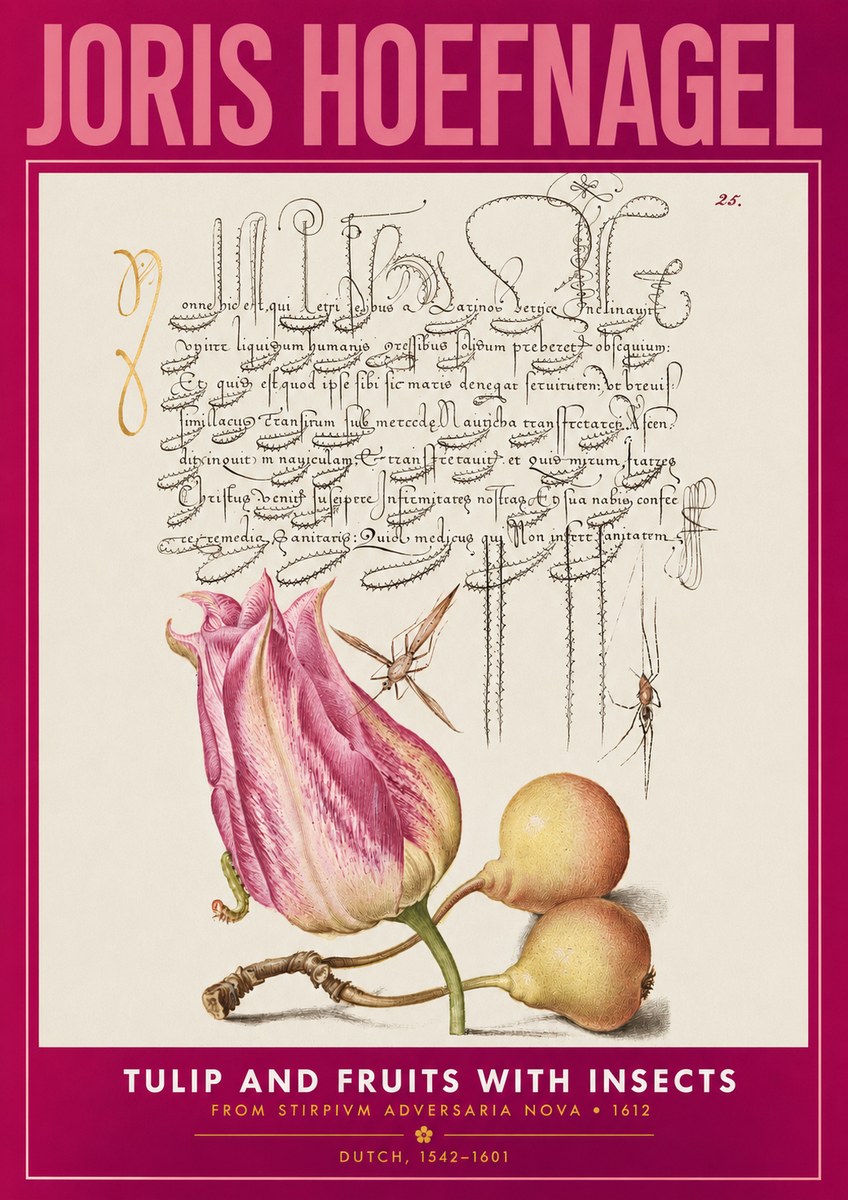 Joris Hoefnagel Tulip and Fruits with Insects No2 - Juliste