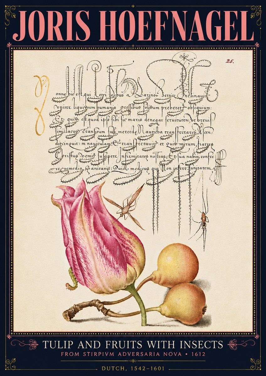 Joris Hoefnagel Tulip and Fruits with Insects No4 - Juliste