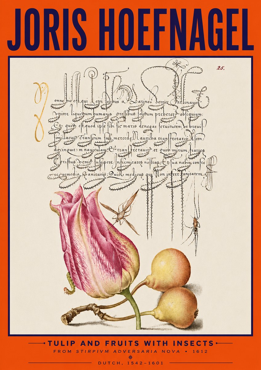 Joris Hoefnagel Tulip and Fruits with Insects No5 - Juliste