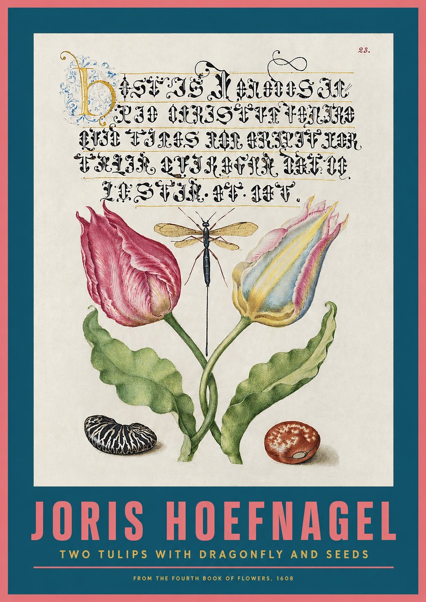 Joris Hoefnagel Two Tulips with Dragonfly and Seeds No2 - Juliste
