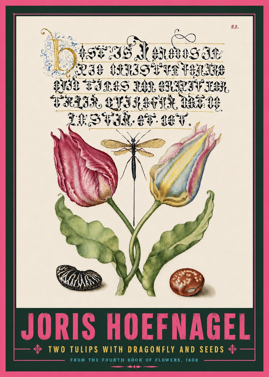 Joris Hoefnagel Two Tulips with Dragonfly and Seeds No5 - Juliste