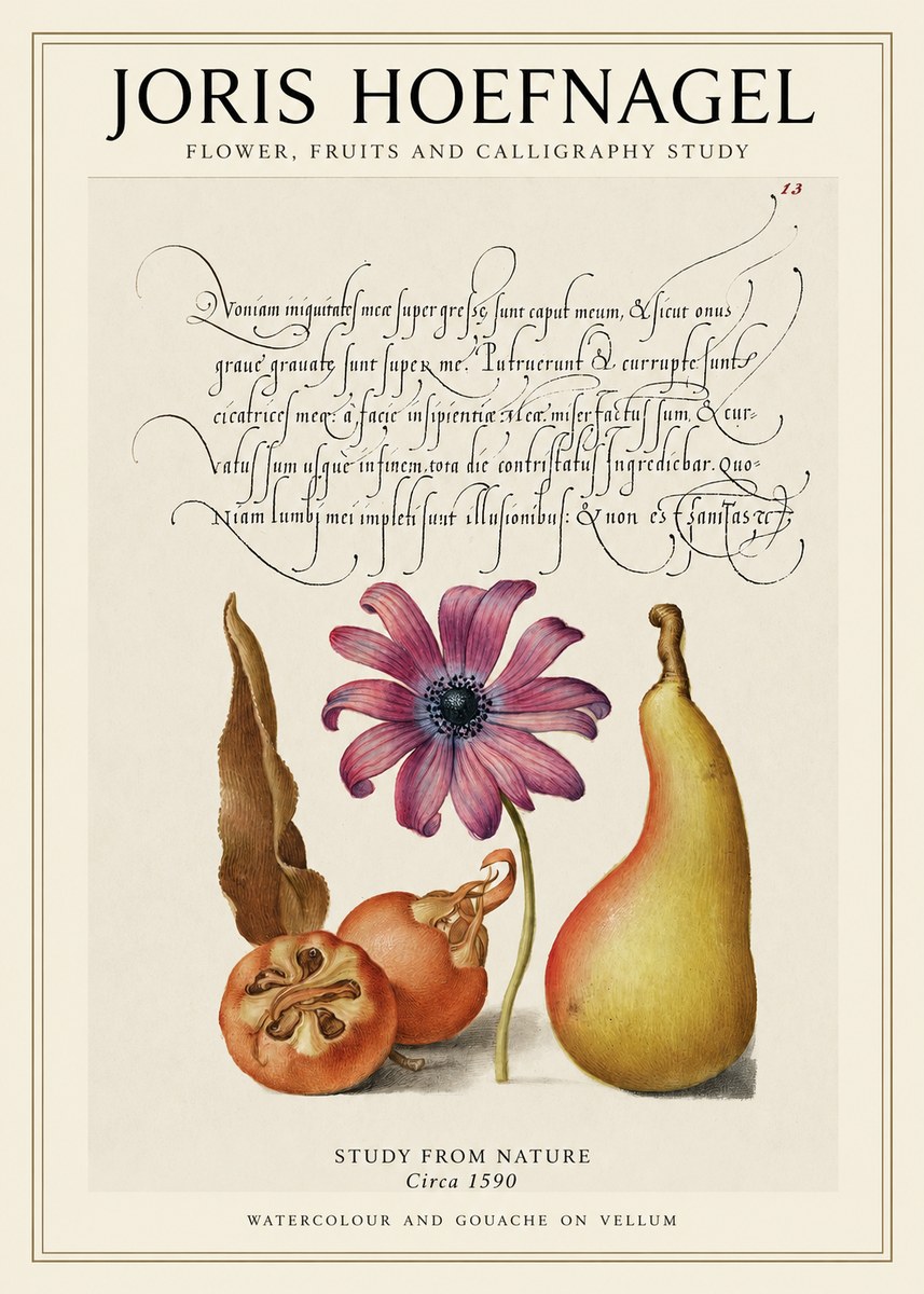 Joris Hoefnagel Study of Flower and Fruits No2 - Juliste
