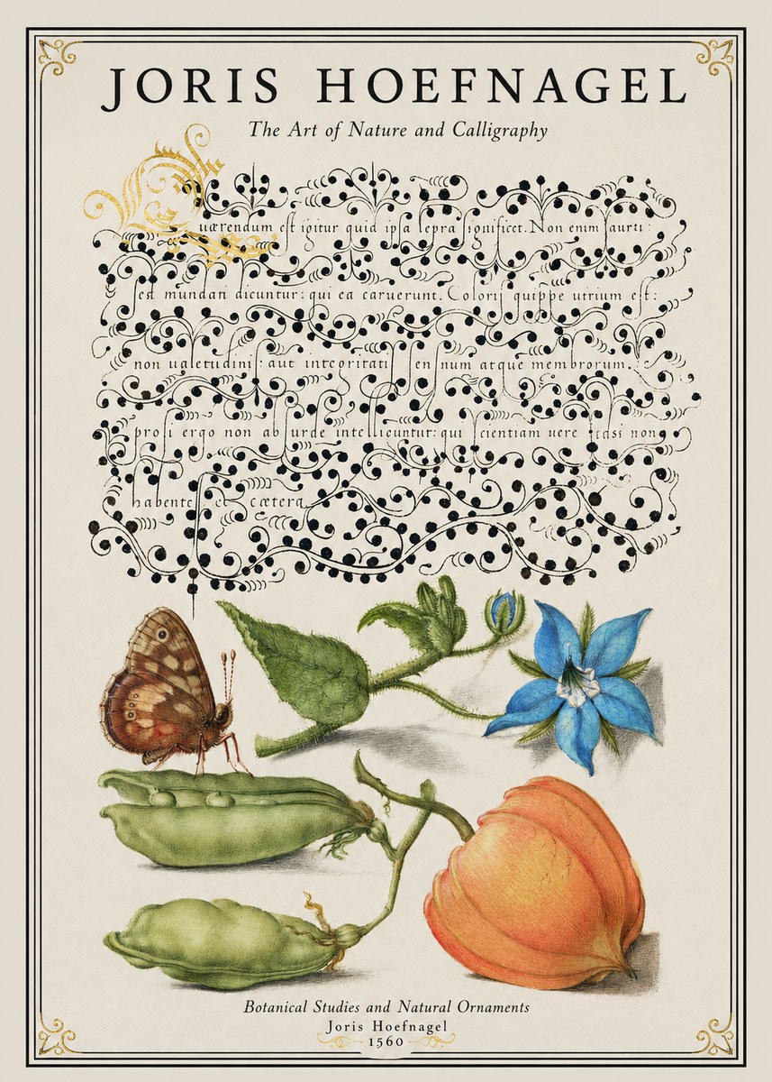 Joris Hoefnagel Study of Plants and Butterfly No2 - Juliste