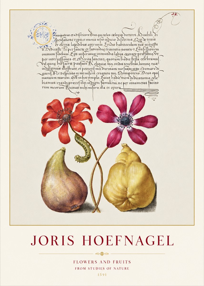 Joris Hoefnagel Flowers and Fruits No1 - Juliste