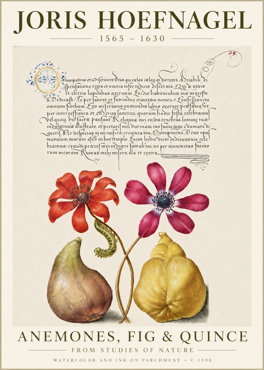 Joris Hoefnagel Flowers and Fruits No6 - Juliste