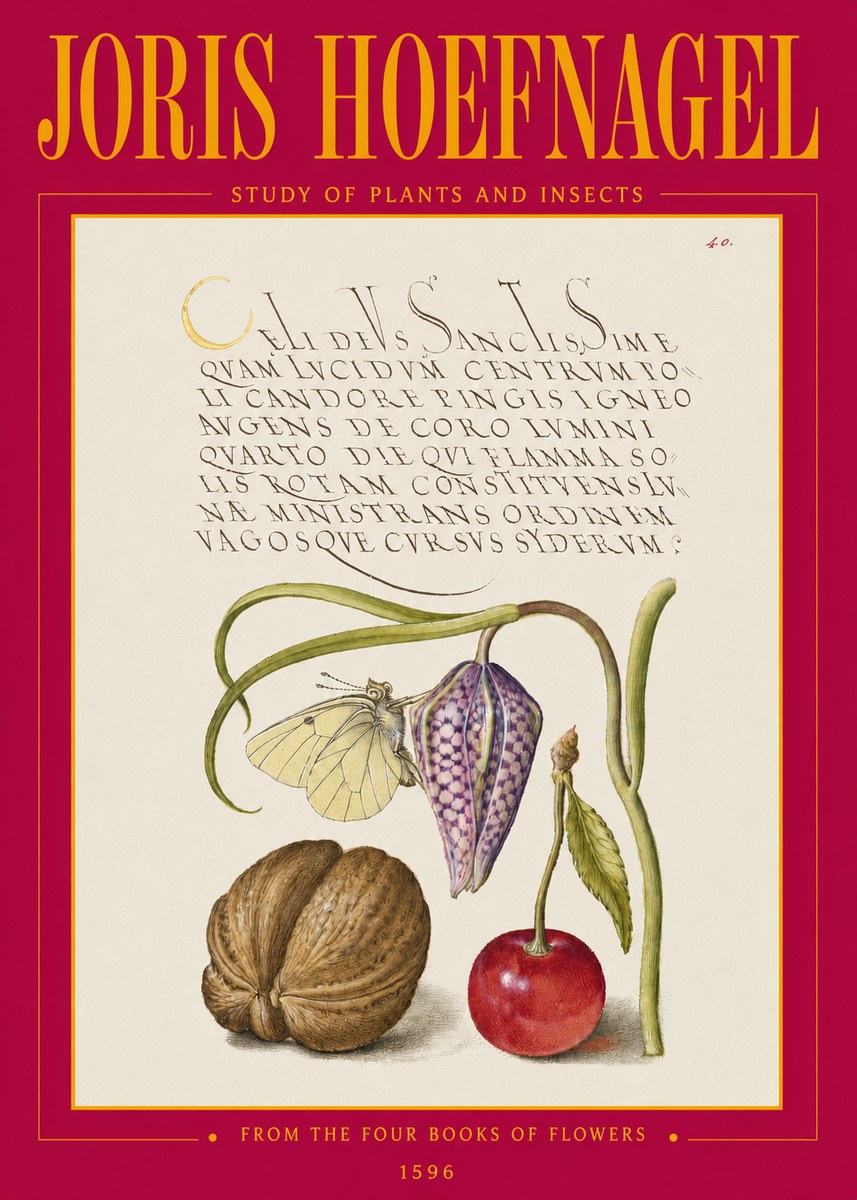 Joris Hoefnagel Study of Plants and Insects No3 - Juliste