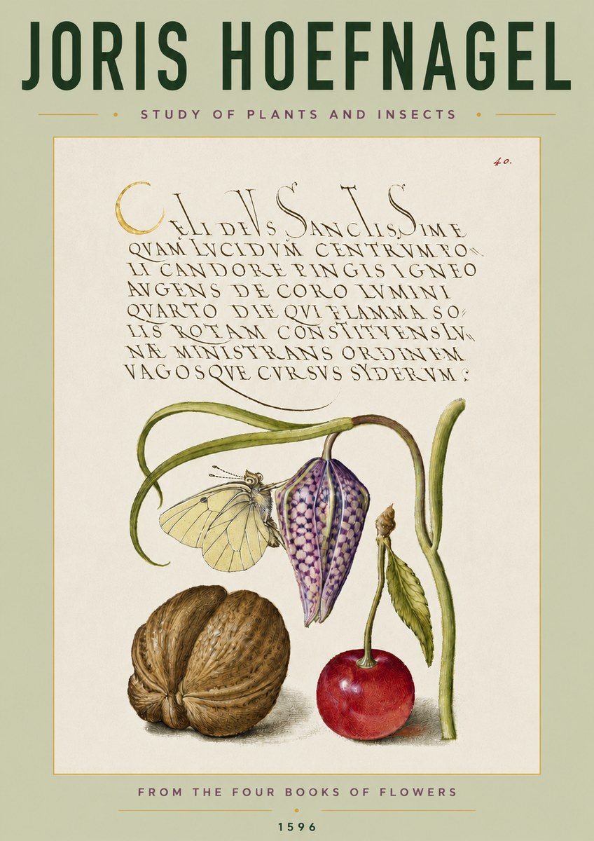 Joris Hoefnagel Study of Plants and Insects No4 - Juliste