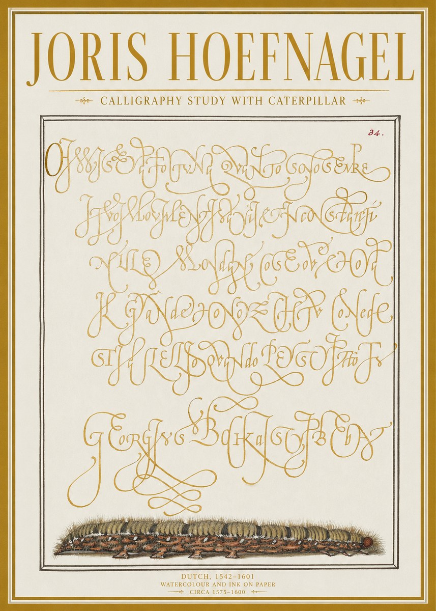 Joris Hoefnagel Calligraphy Study with Caterpillar No1 - Juliste