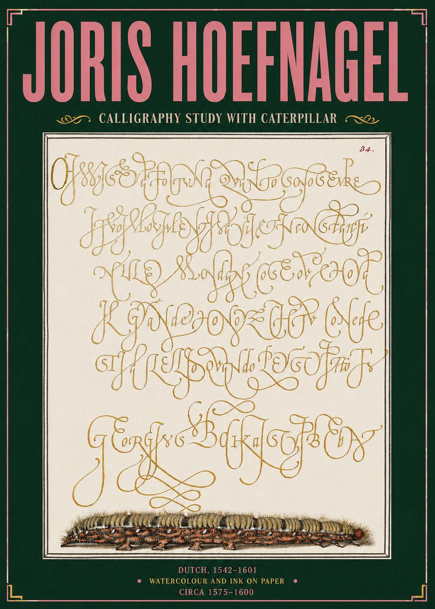 Joris Hoefnagel Calligraphy Study with Caterpillar No3 - Juliste