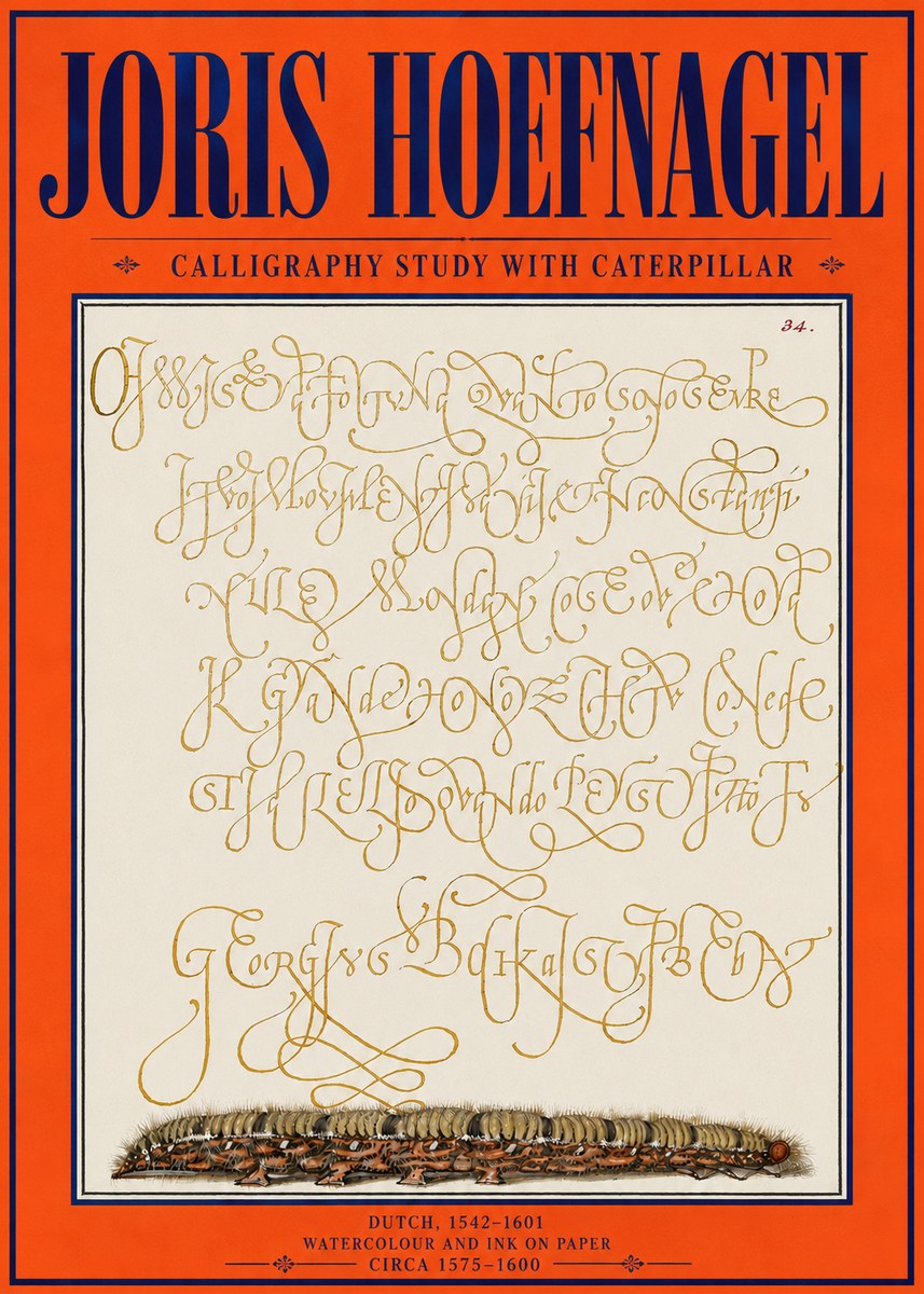 Joris Hoefnagel Calligraphy Study with Caterpillar No4 - Juliste