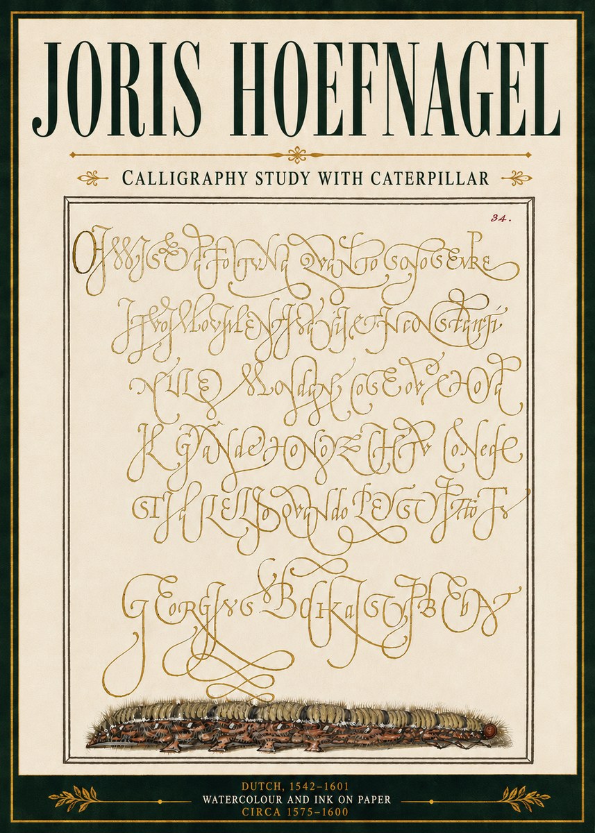 Joris Hoefnagel Calligraphy Study with Caterpillar No5 - Juliste