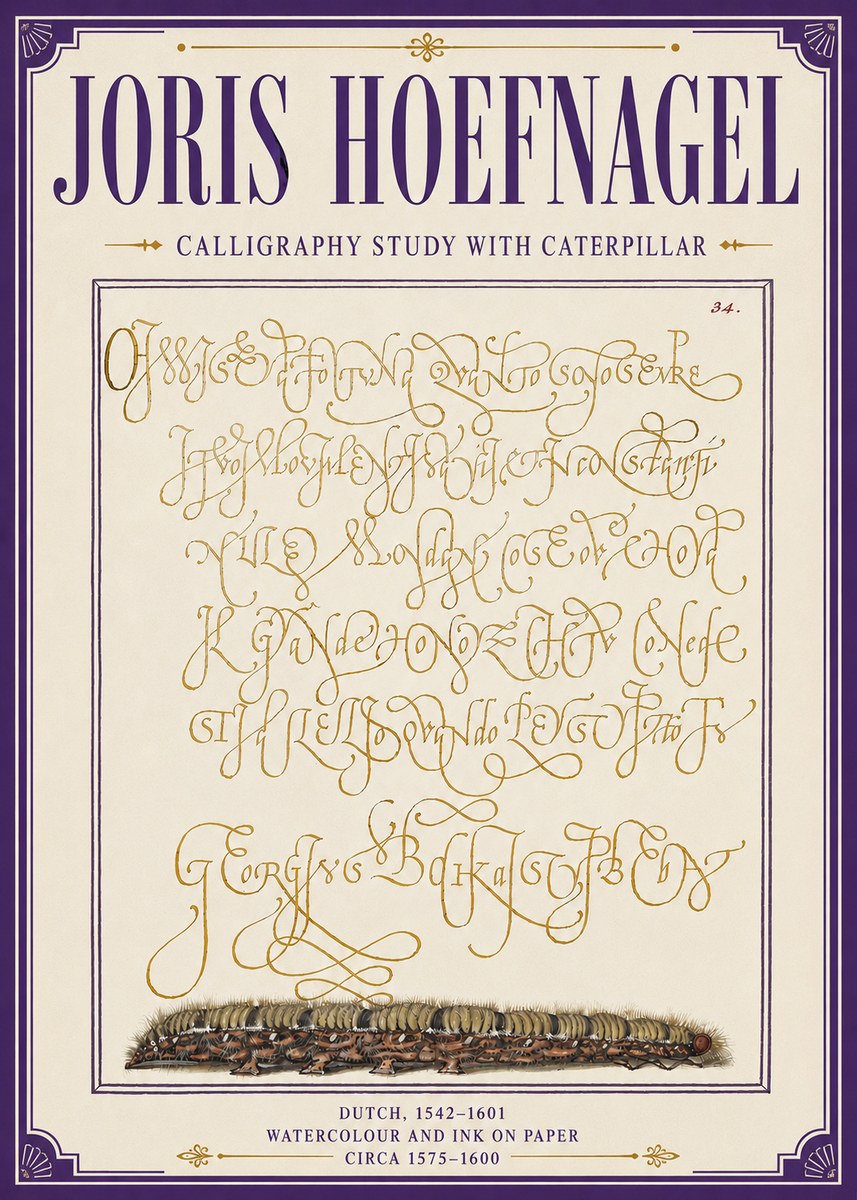 Joris Hoefnagel Calligraphy Study with Caterpillar No6 - Juliste