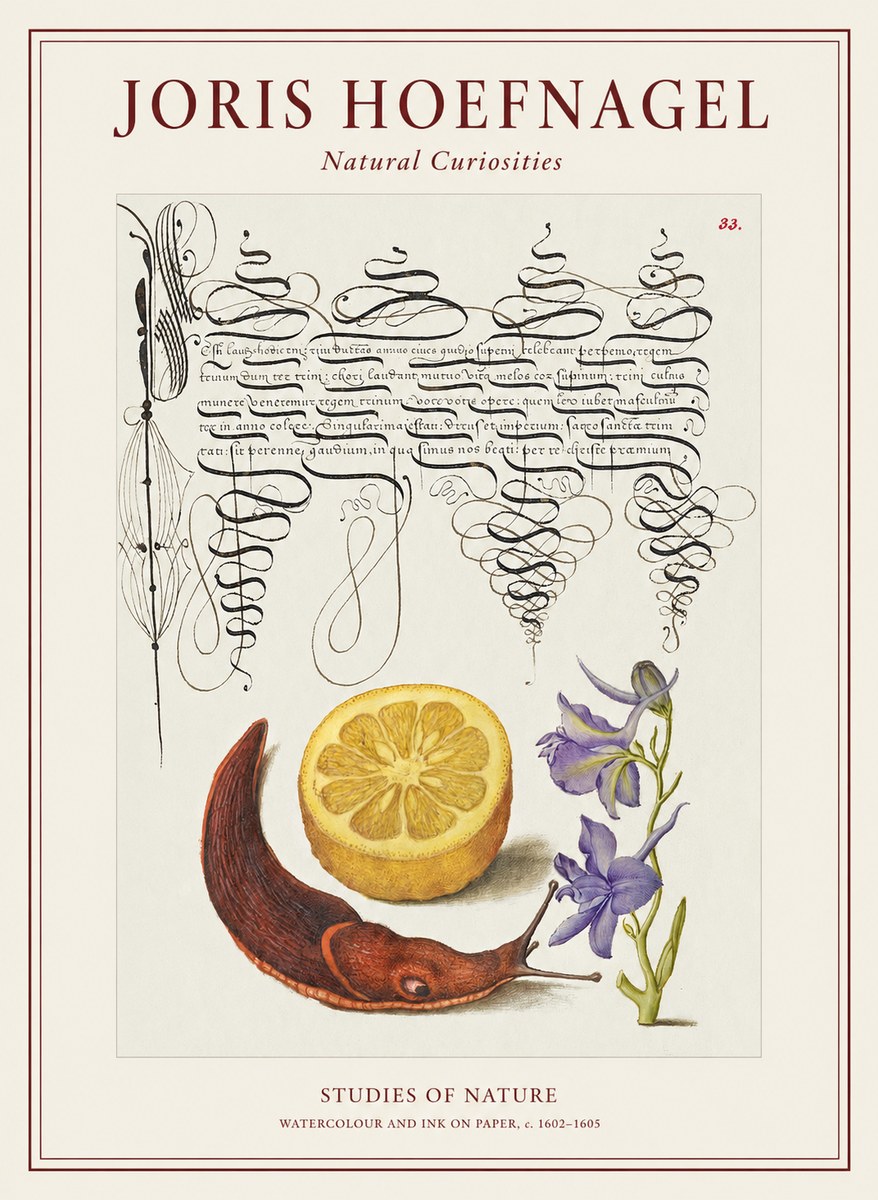 Joris Hoefnagel Studies of Nature No1 - Juliste