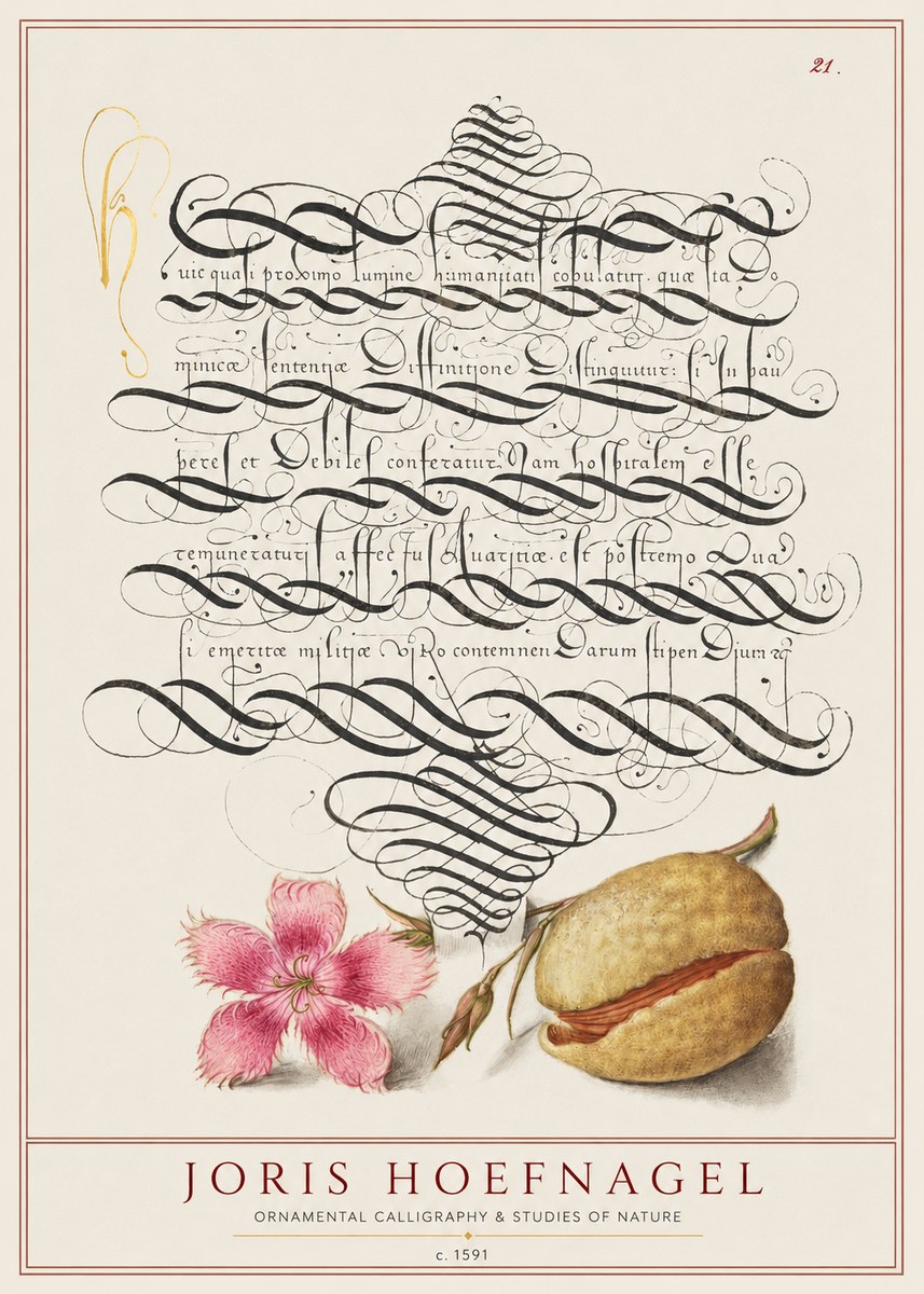 Joris Hoefnagel Ornamental Calligraphy & Studies of Nature No1 - Juliste