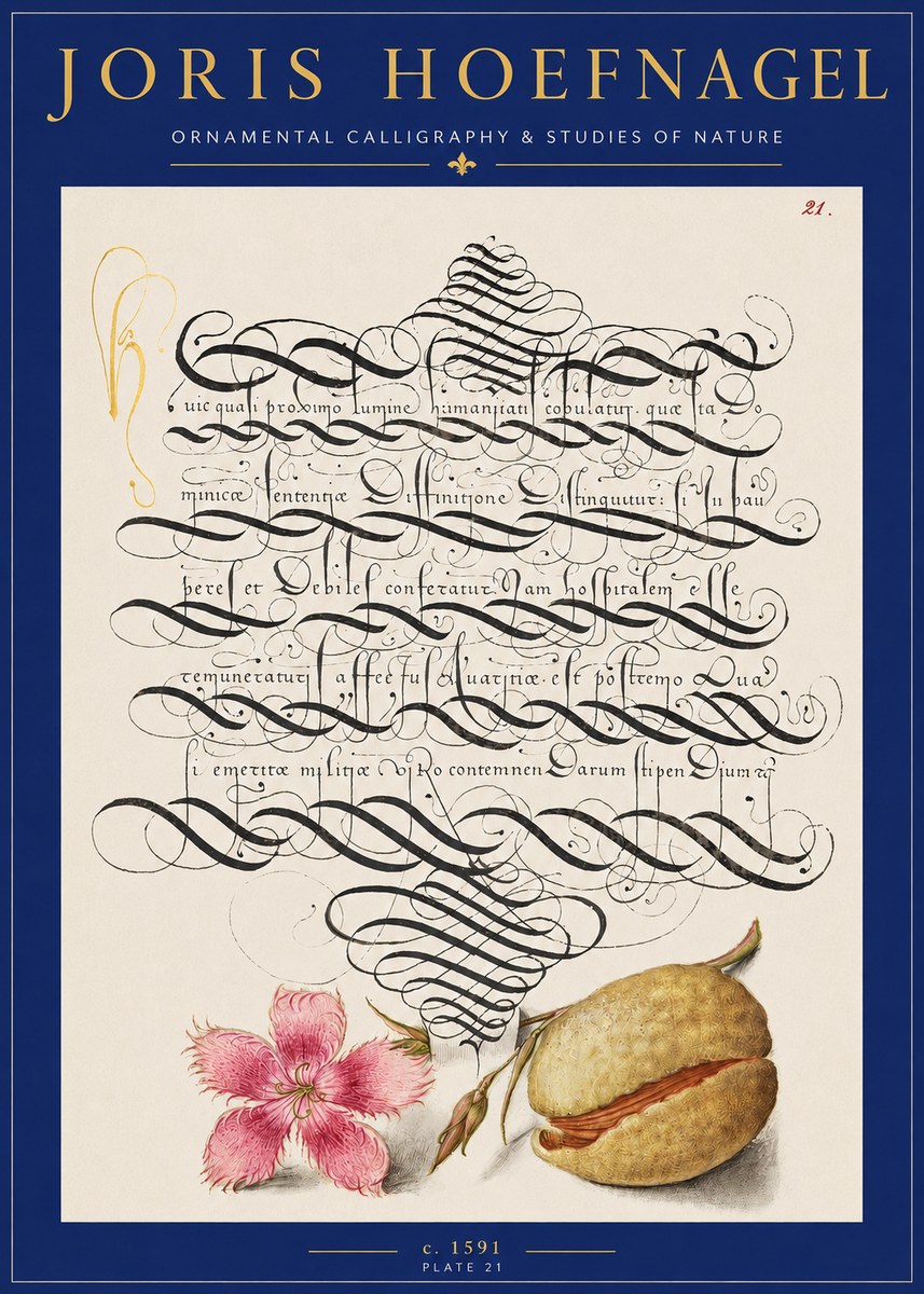 Joris Hoefnagel Ornamental Calligraphy & Studies of Nature No2 - Juliste