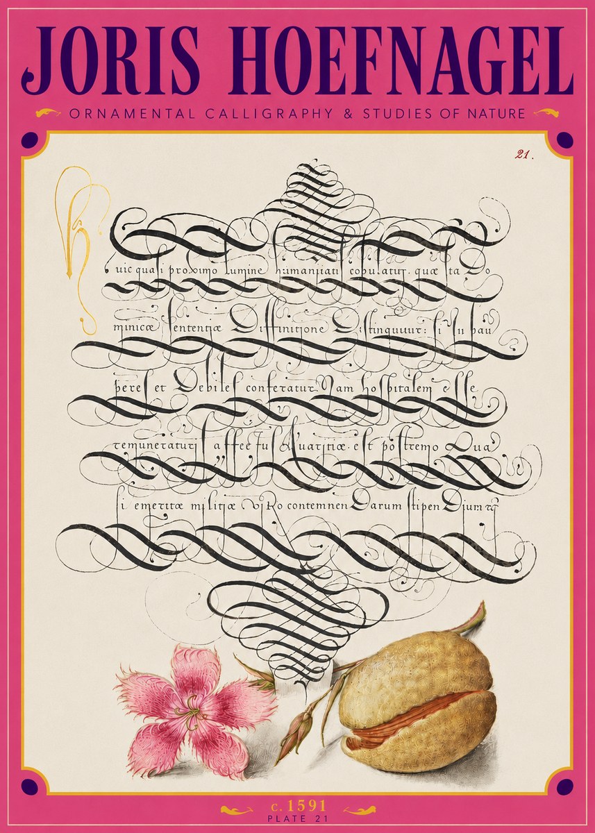 Joris Hoefnagel Ornamental Calligraphy & Studies of Nature No3 - Juliste