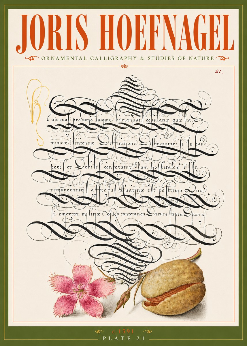 Joris Hoefnagel Ornamental Calligraphy & Studies of Nature No6 - Juliste