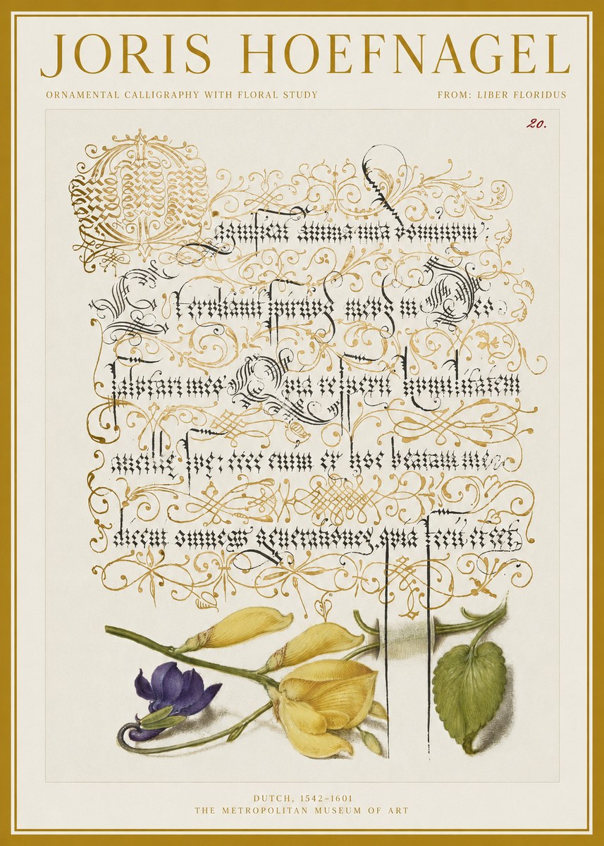 Joris Hoefnagel Ornamental Calligraphy with Floral Study No1 - Juliste