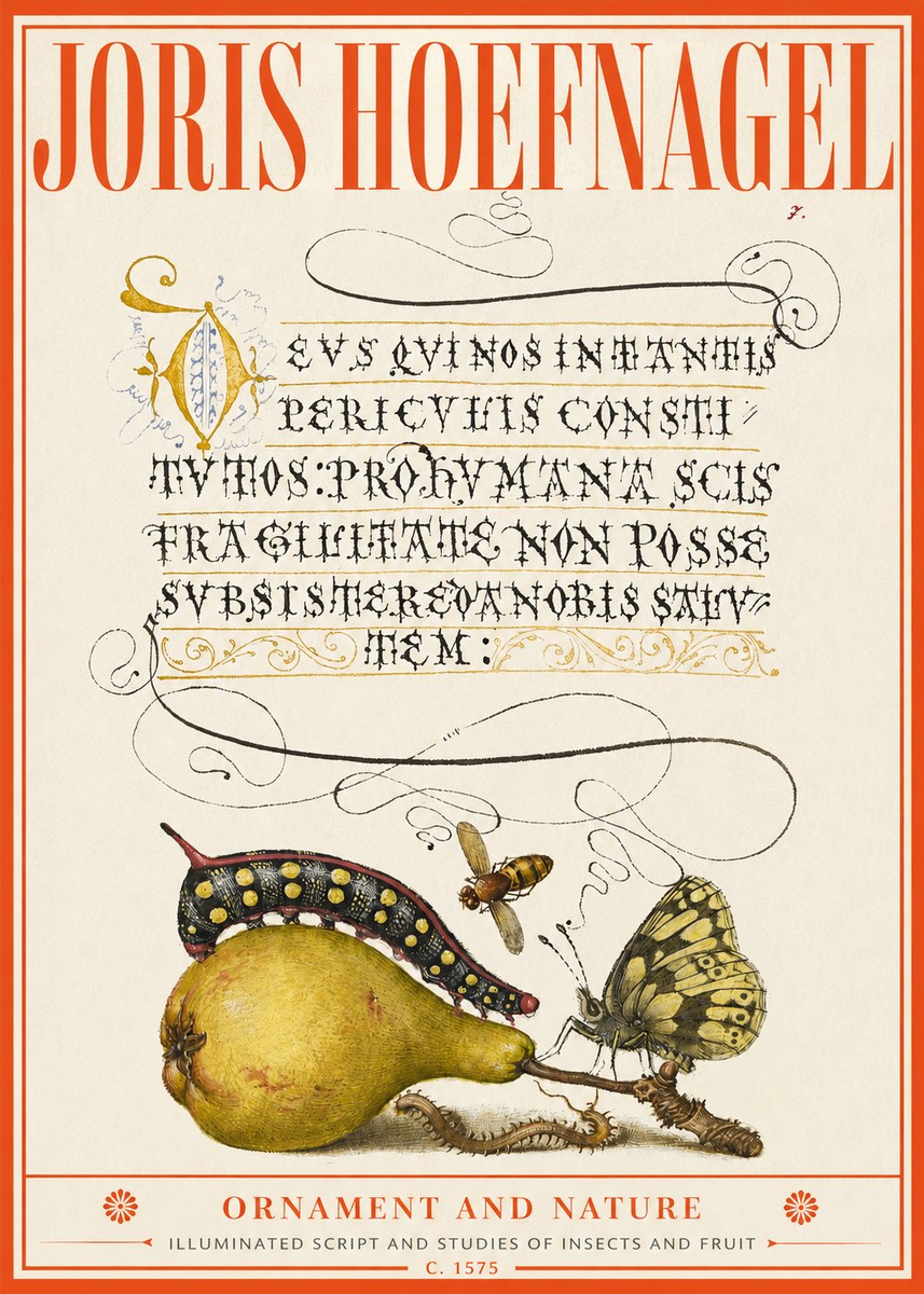 Joris Hoefnagel Ornament and Nature - Illuminated Script and Studies of Insects and Fruit No2 - Juliste
