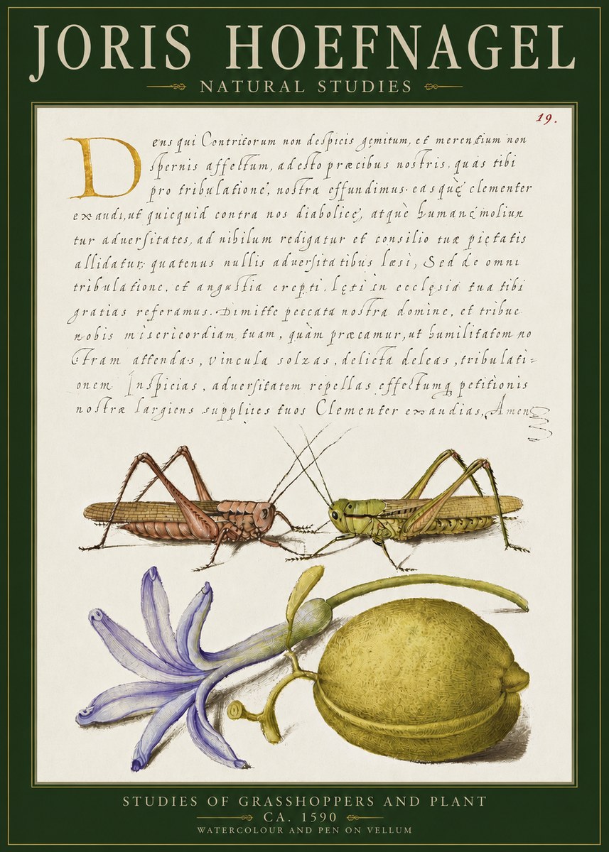 Joris Hoefnagel Studies of Grasshoppers and Plant No2 - Juliste
