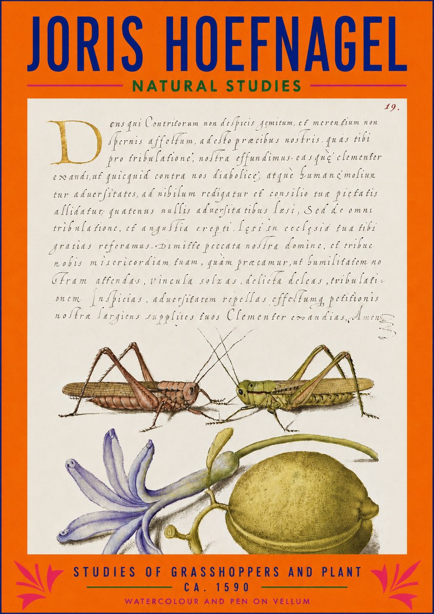 Joris Hoefnagel Studies of Grasshoppers and Plant No3 - Juliste
