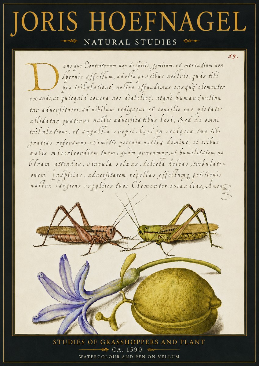 Joris Hoefnagel Studies of Grasshoppers and Plant No4 - Juliste