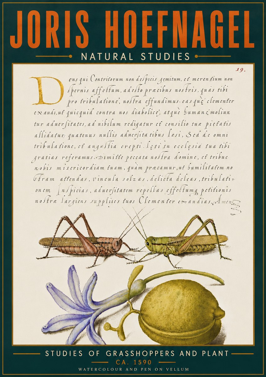 Joris Hoefnagel Studies of Grasshoppers and Plant No6 - Juliste