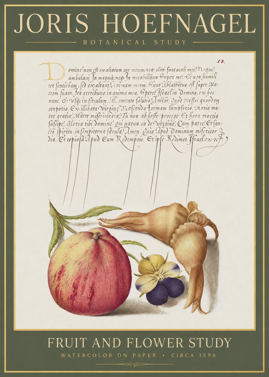 Joris Hoefnagel Fruit and Flower Study No1 - Juliste