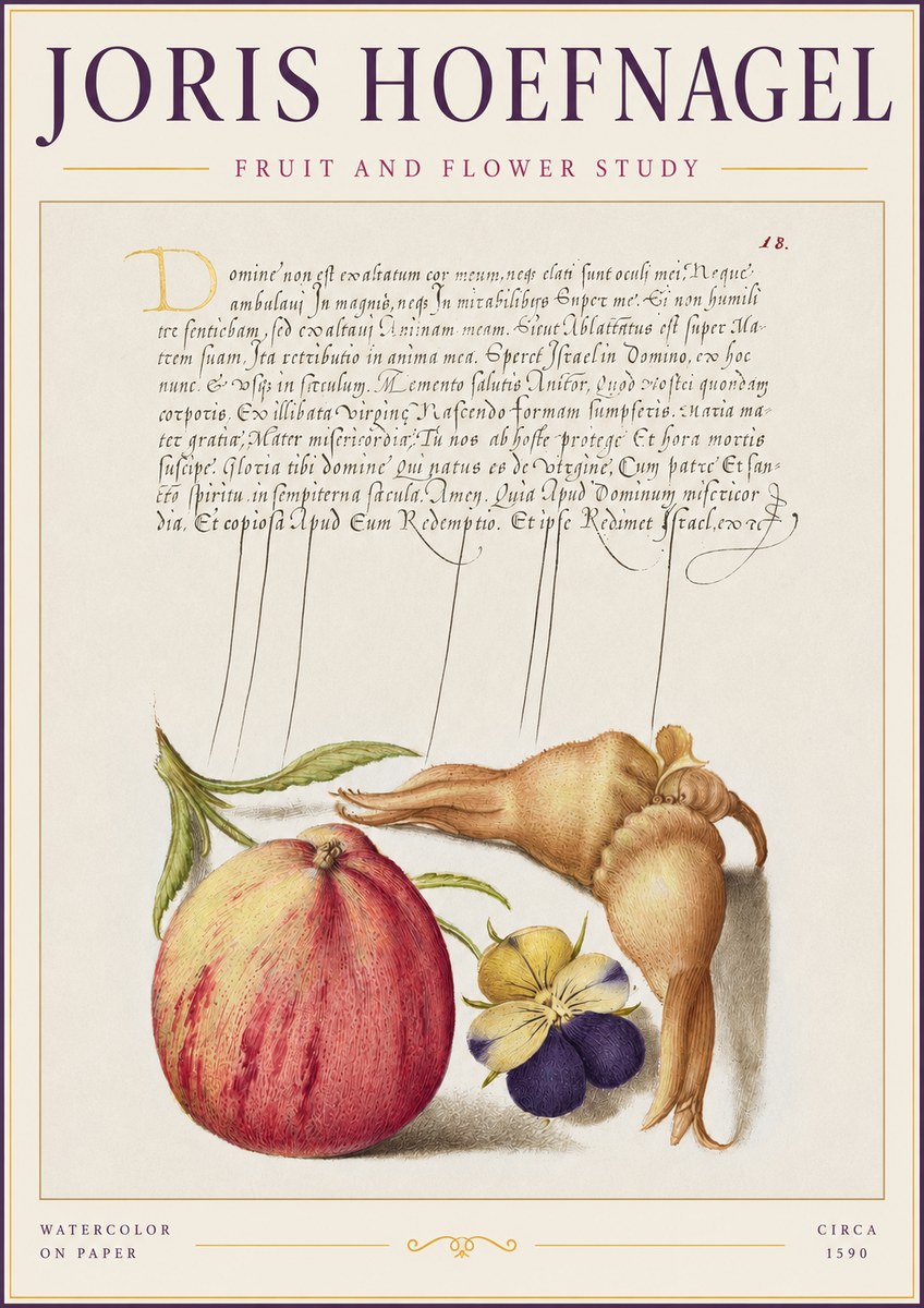 Joris Hoefnagel Fruit and Flower Study No2 - Juliste