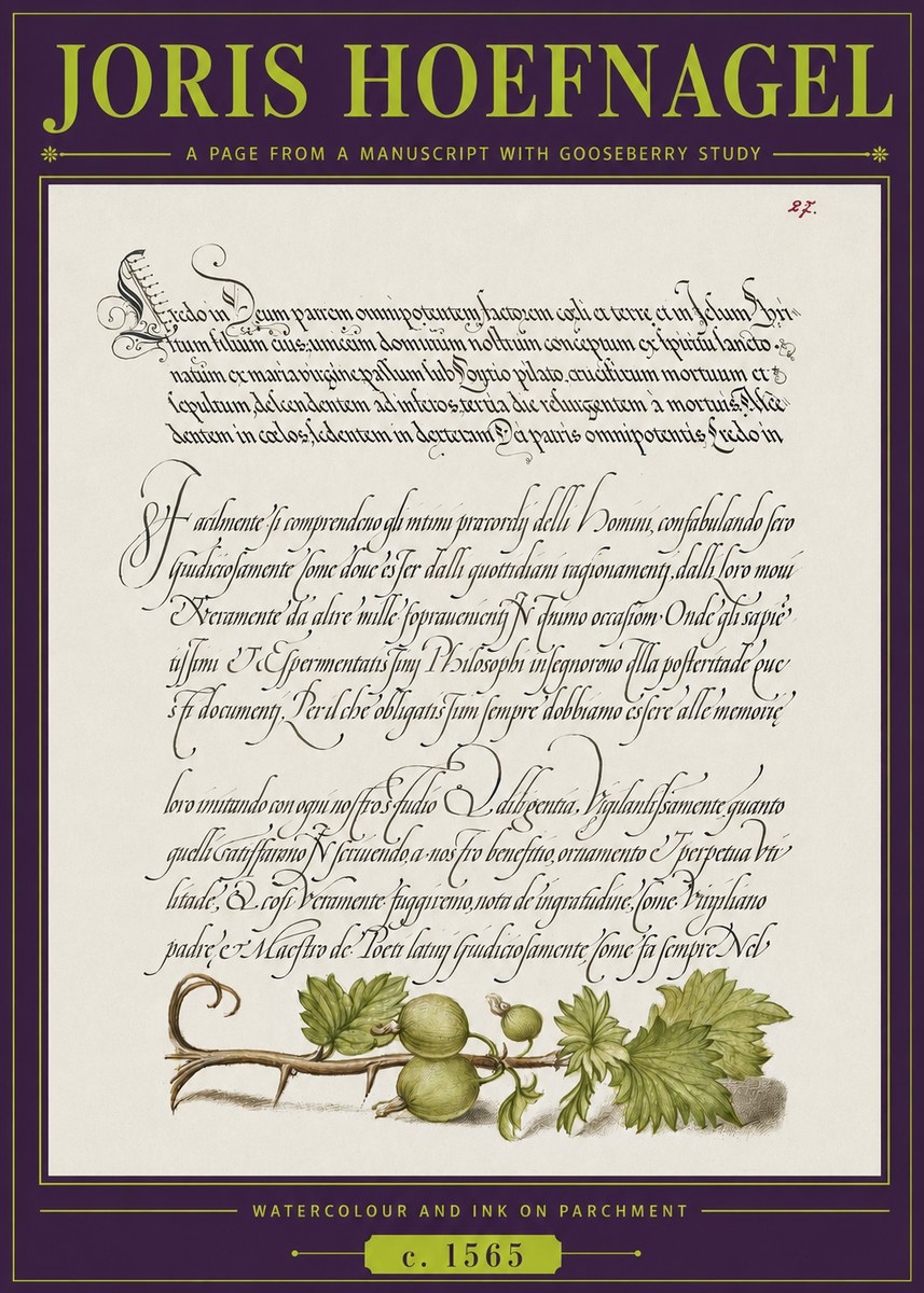 Joris Hoefnagel A Page from a Manuscript with Gooseberry Study No3 - Juliste