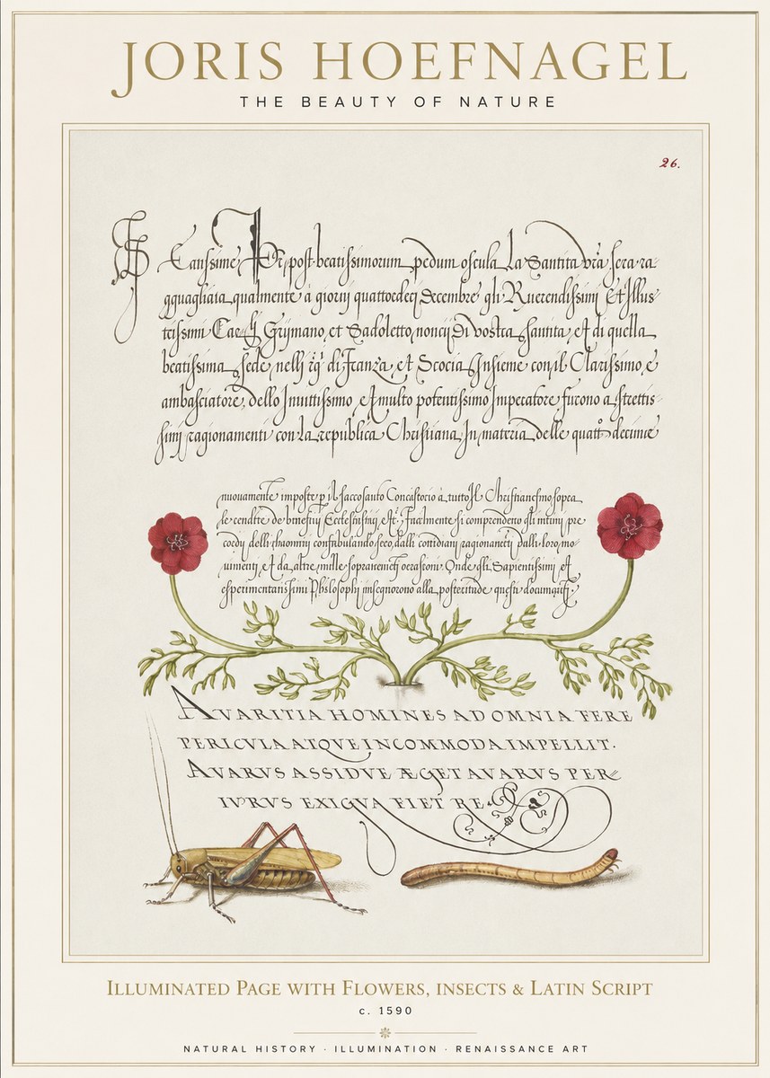 Joris Hoefnagel Illuminated Page with Flowers, Insects & Latin Script No1 - Juliste