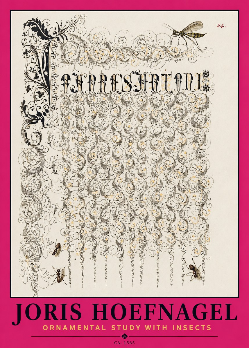 Joris Hoefnagel Ornamental Study with Insects No2 - Juliste