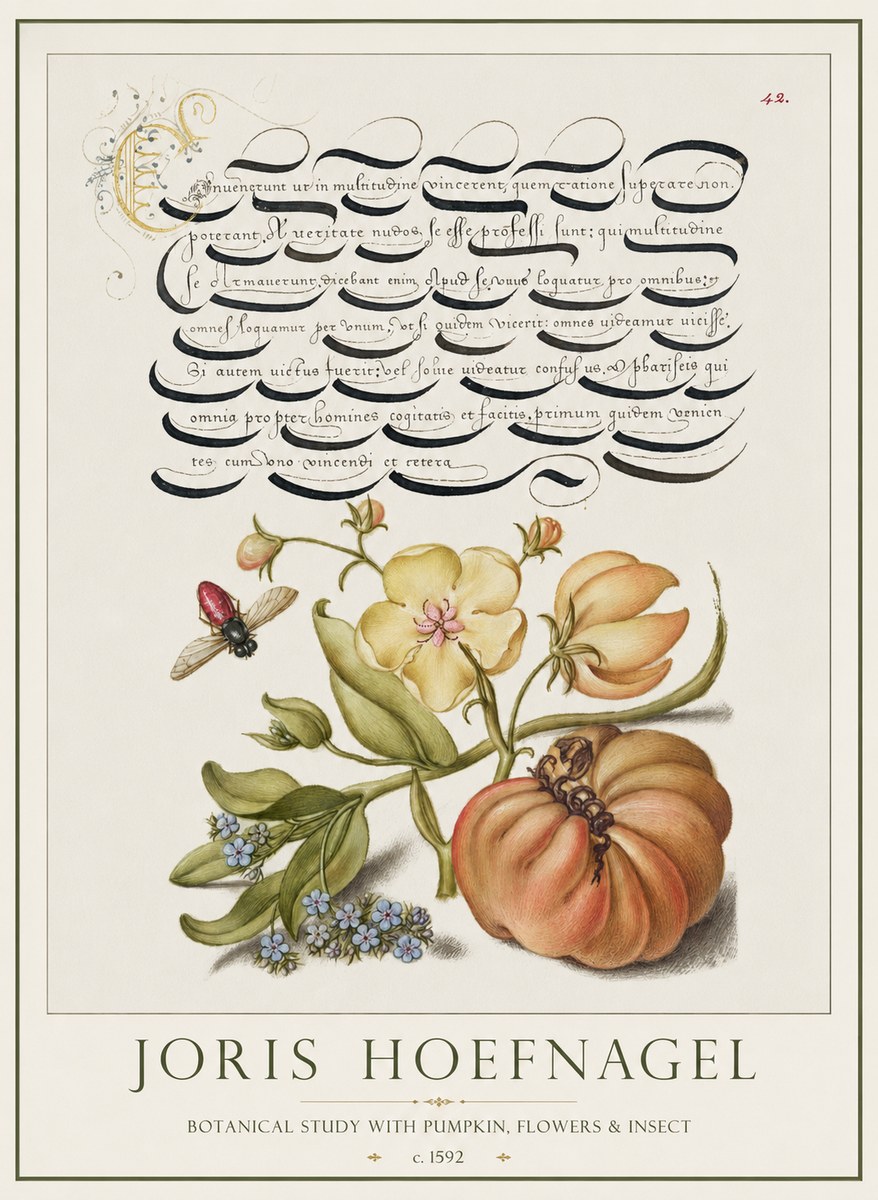 Joris Hoefnagel Botanical Study with Pumpkin, Flowers & Insect No1 - Juliste