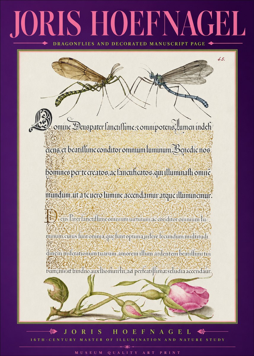 Joris Hoefnagel Dragonflies and Decorated Manuscript Page No2 - Juliste