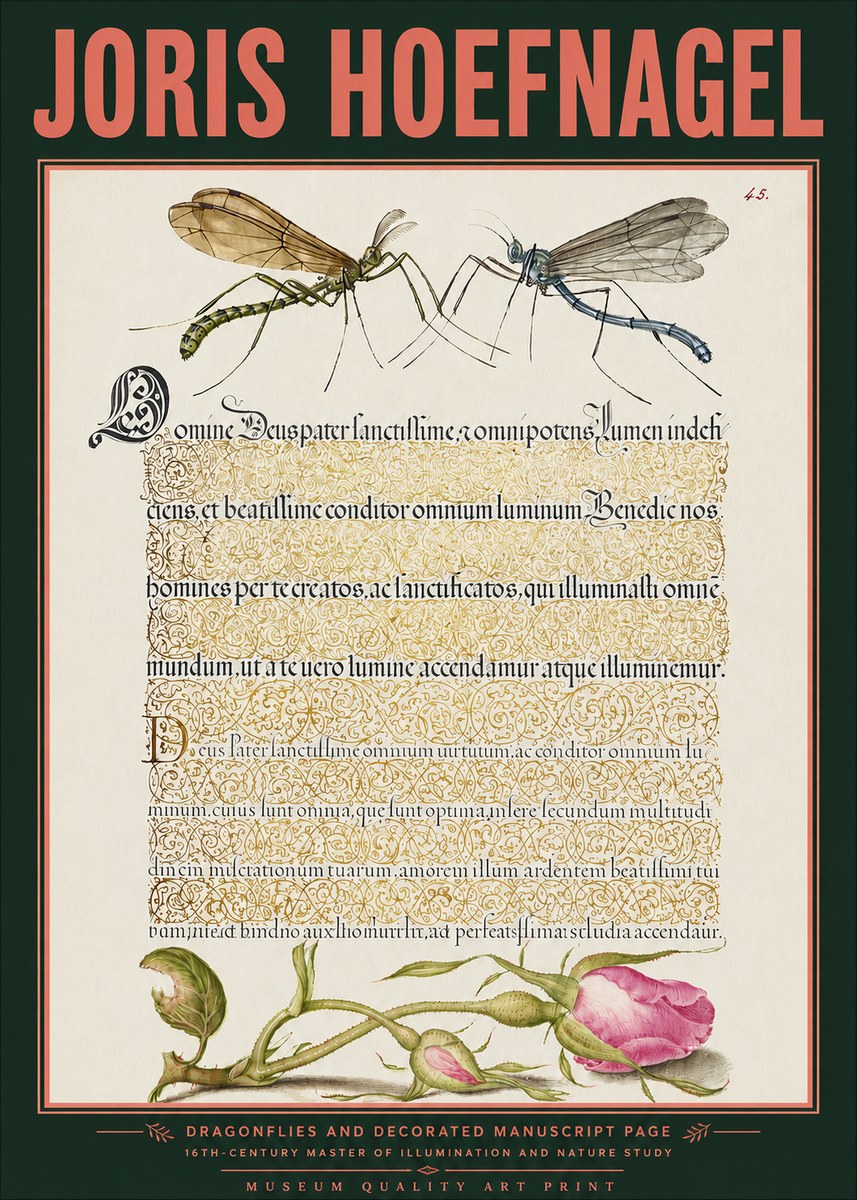 Joris Hoefnagel Dragonflies and Decorated Manuscript Page No3 - Juliste