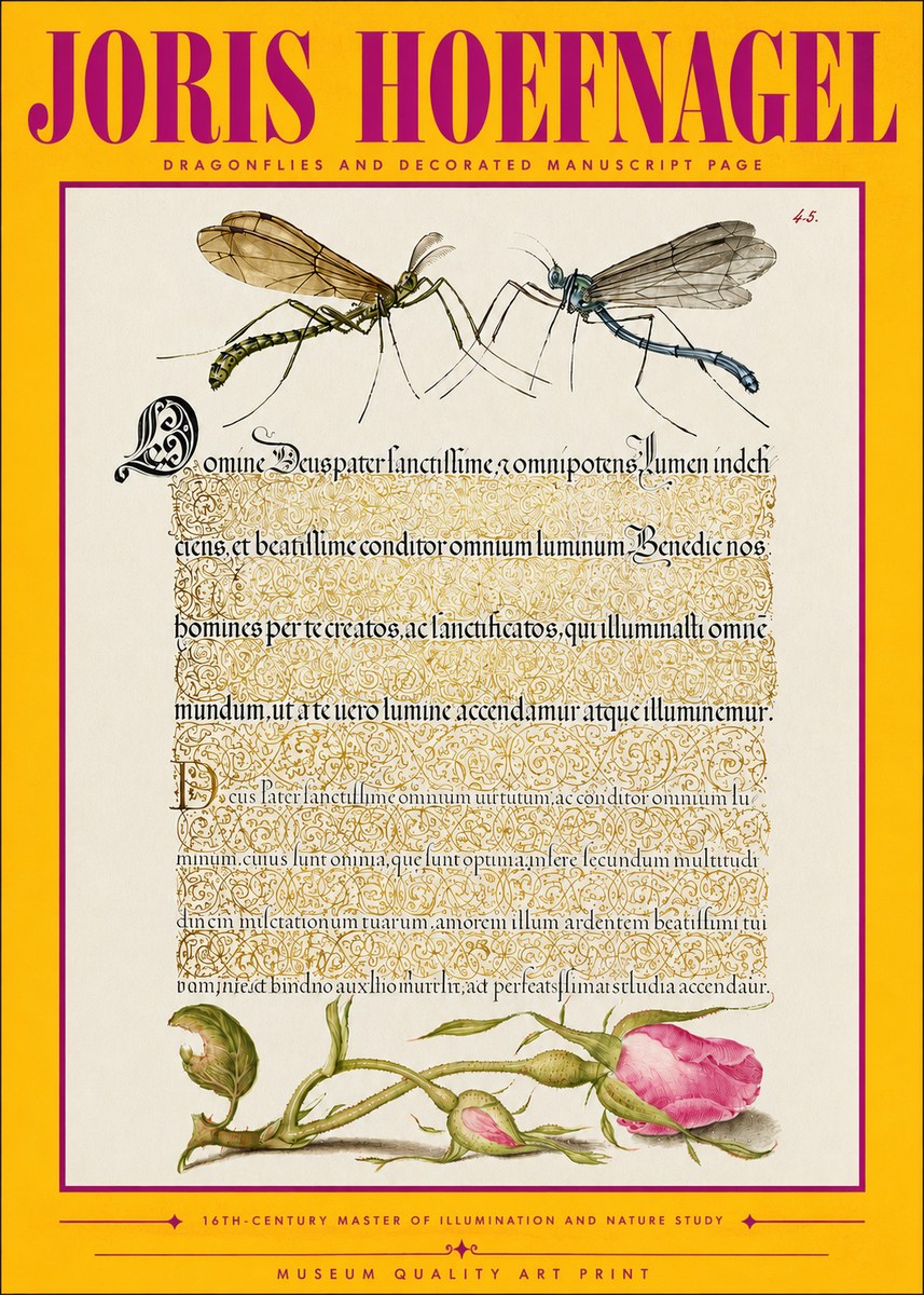 Joris Hoefnagel Dragonflies and Decorated Manuscript Page No4 - Juliste