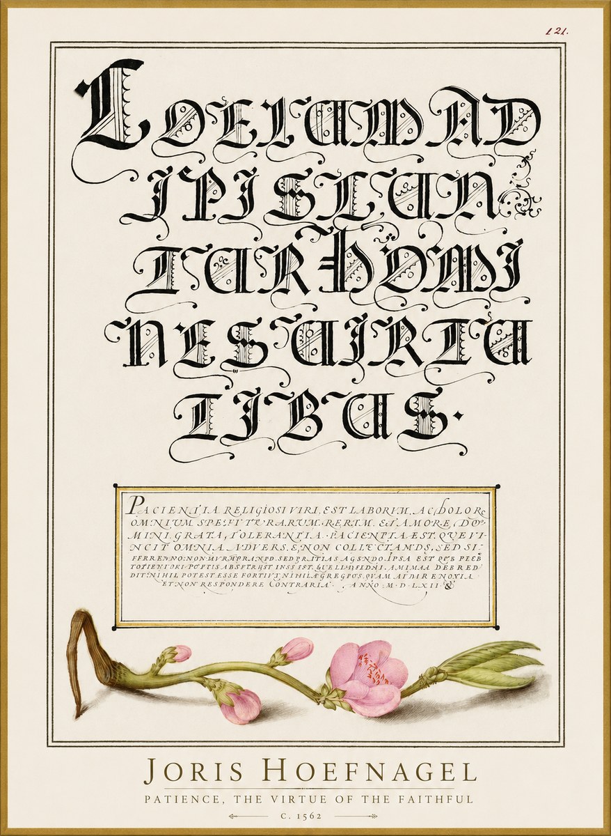 Joris Hoefnagel Calligraphic Alphabet from a Book of Lettering No3 - Juliste