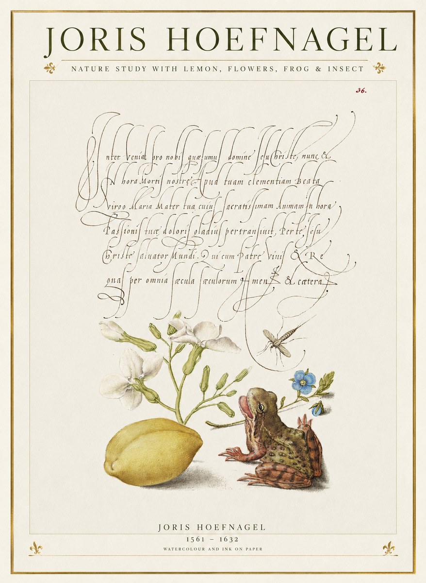 Joris Hoefnagel Nature Study with Lemon, Flowers, Frog & Insect No1 - Juliste