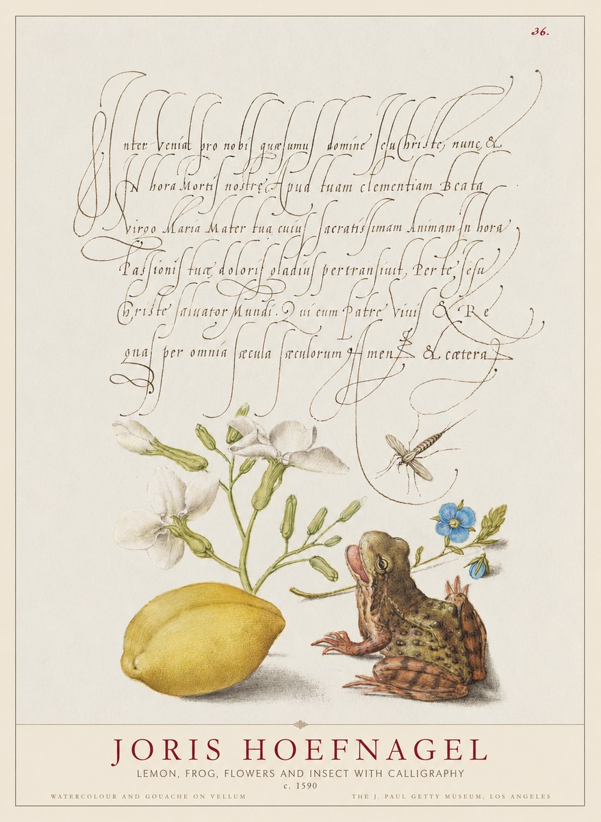 Joris Hoefnagel Nature Study with Lemon, Flowers, Frog & Insect No2 - Juliste