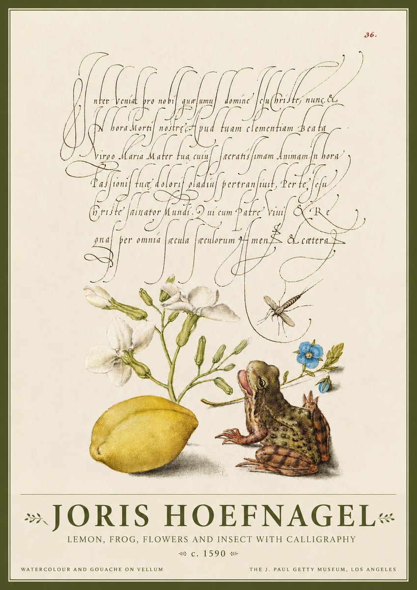 Joris Hoefnagel Nature Study with Lemon, Flowers, Frog & Insect No4 - Juliste