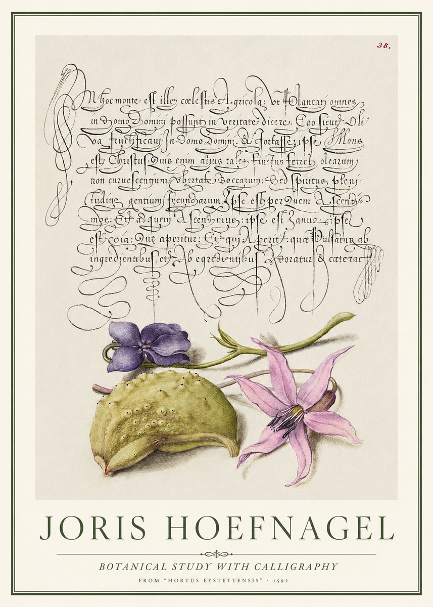 Joris Hoefnagel Botanical Study with Calligraphy I No1 - Juliste