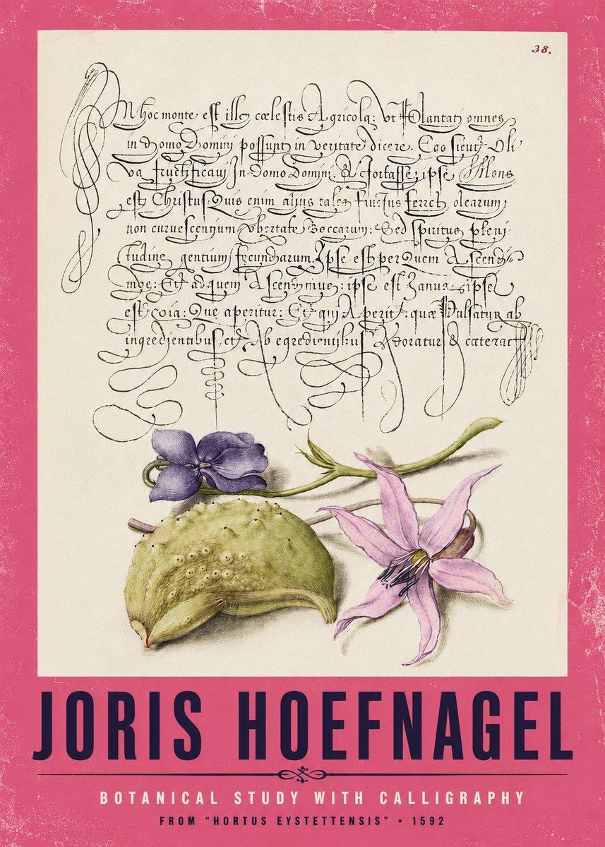 Joris Hoefnagel Botanical Study with Calligraphy I No2 - Juliste