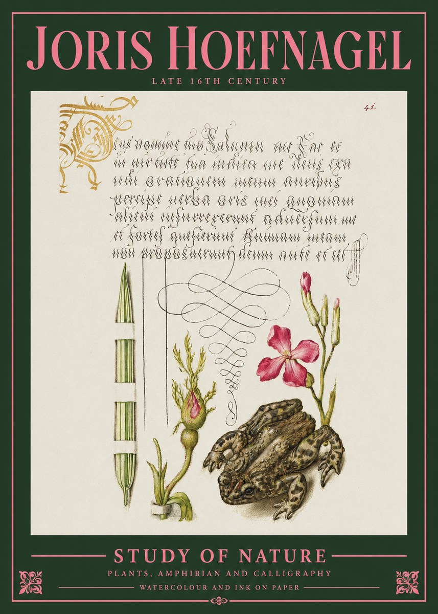 Joris Hoefnagel Study of Nature I No2 - Juliste