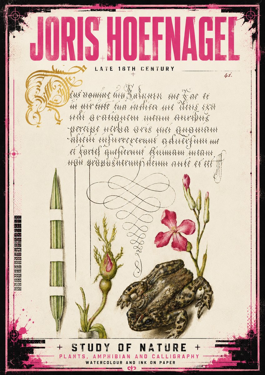 Joris Hoefnagel Study of Nature I No4 - Juliste