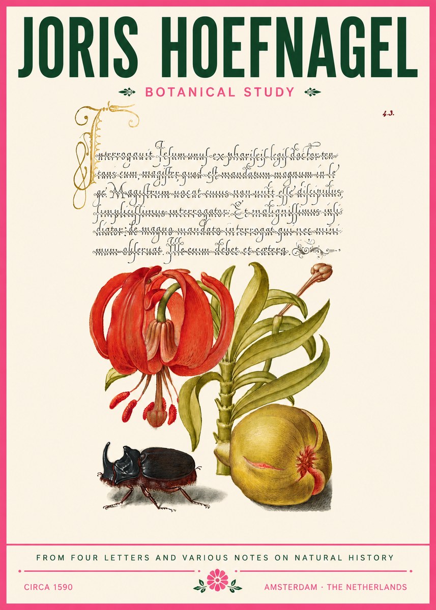 Joris Hoefnagel Botanical Study II No6 - Juliste