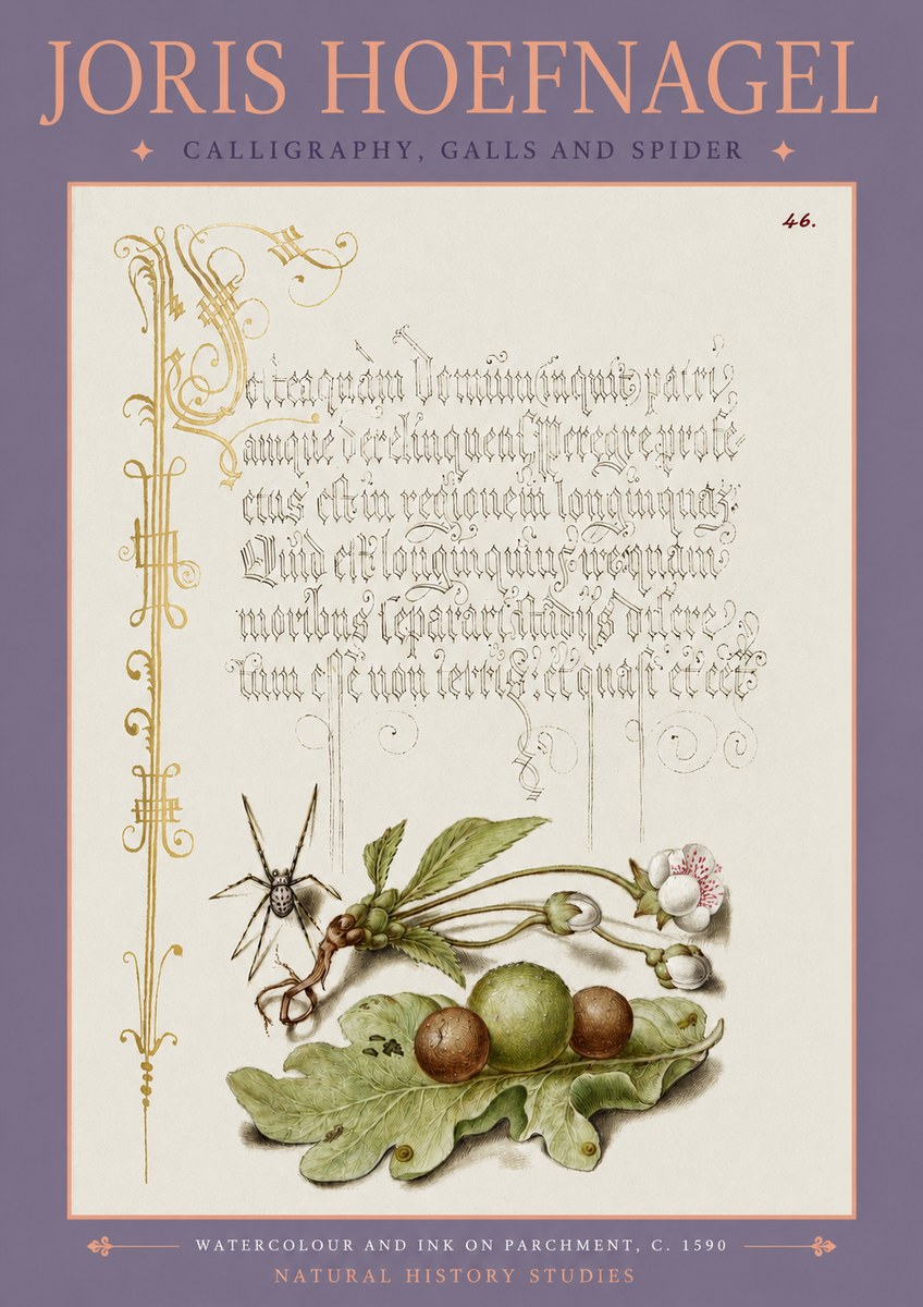 Joris Hoefnagel Plant with Galls and Insect No4 - Juliste