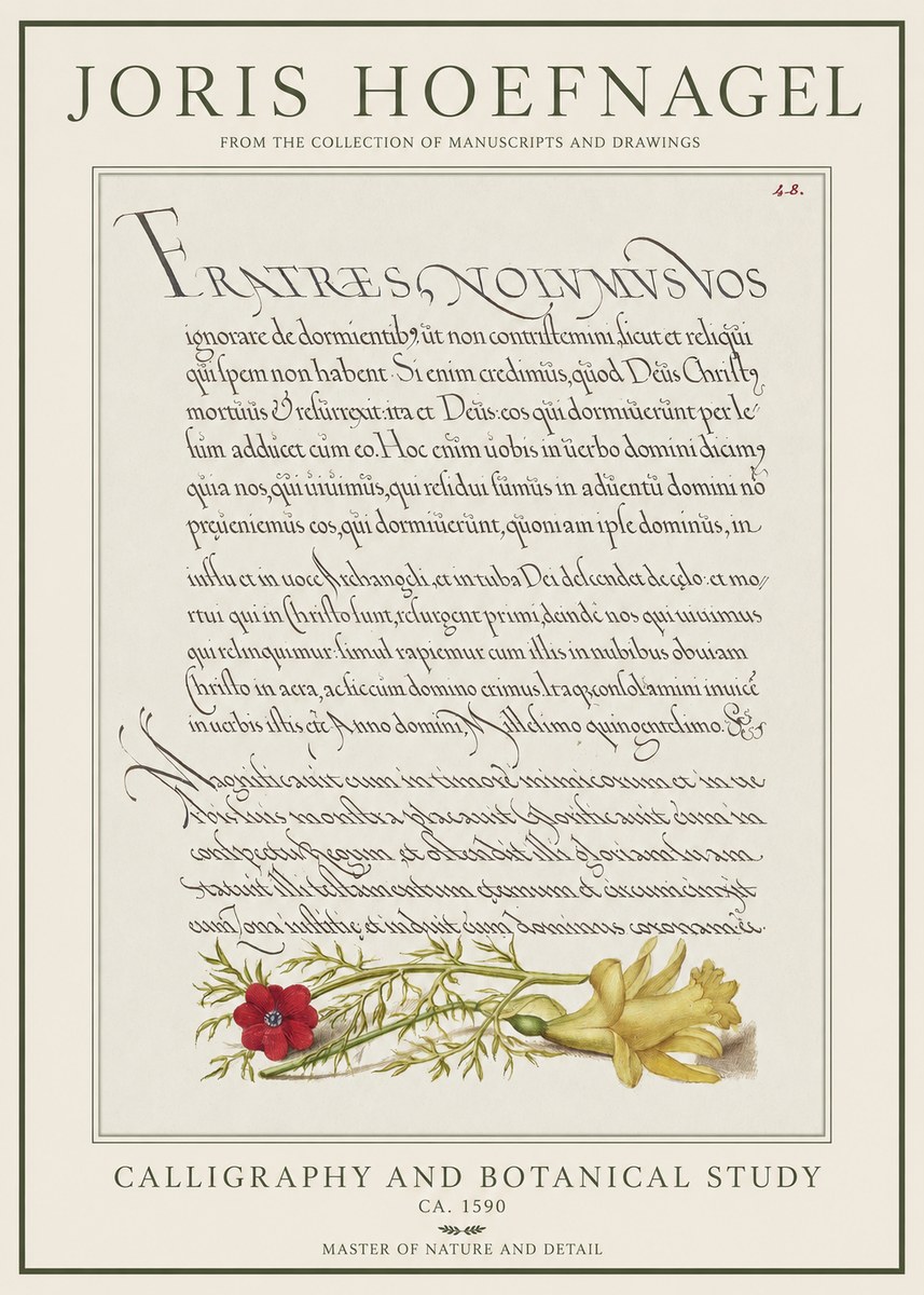 Joris Hoefnagel Calligraphy and Botanical Study I No1 - Juliste